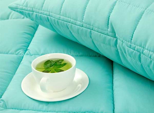 Фото - Набор одеяло евро + 2 подушки Руно 200х220 + 50х70 (925.52_Mint)