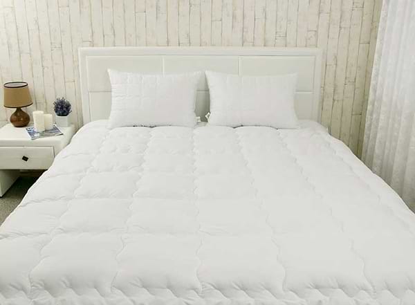 Фото - Набір ковдра євро + 2 подушки Руно 200х220 + 50х70 (925.52_Warm Silver)