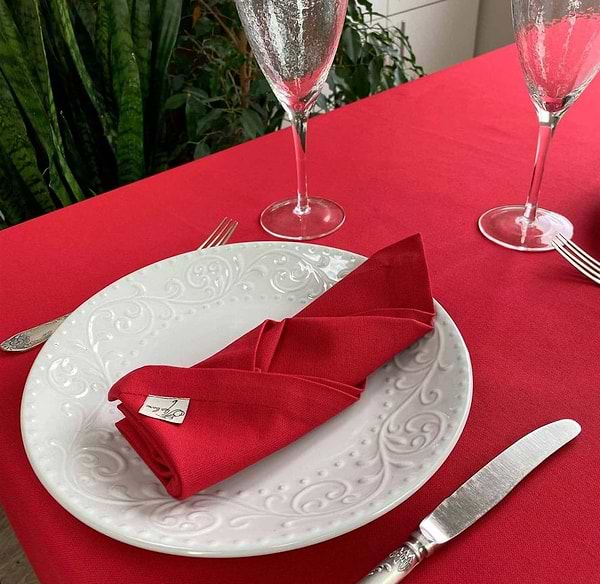 Фото - Салфетка для сервировки Прованс Красная 35х45 (017634)