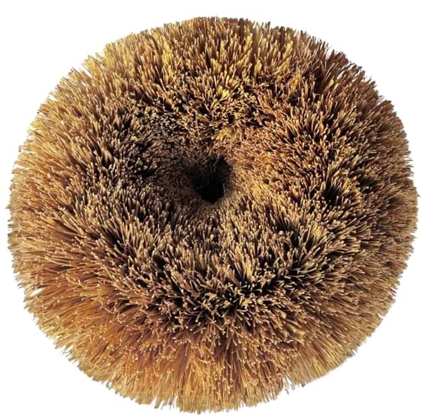 Фото - Щітка для миття посуду Добра господарочка з кокосового волокна для кухні (4820086523523) Фото - Щітка для миття посуду Добра господарочка з кокосового волокна для кухні (4820086523523)