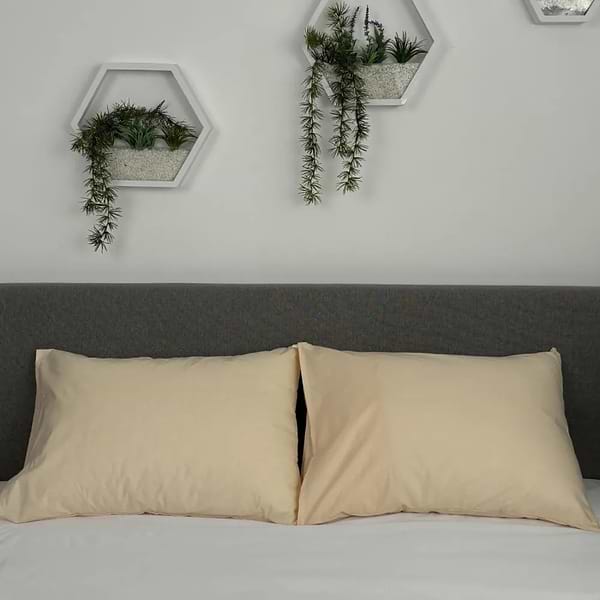 Фото - Наволочка ТЕП 50х70 см Кремовий 2 шт. (2-03861_28302)