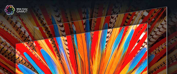 Фото - Телевізор TCL 98P745