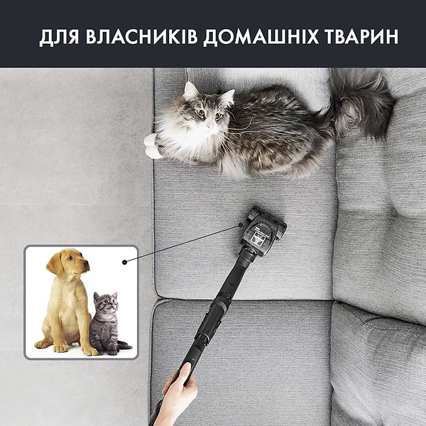 Фото - Пылесос для сухой уборки без мешка Rowenta RO3786EA