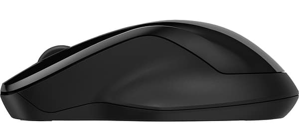 Фото - Мышь беспроводная HP 250 Dual Mode (6V2J7AA)