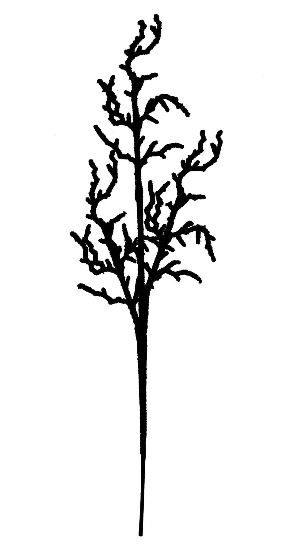 Гілка декоративна YES! Fun Корал 76 см (974318)