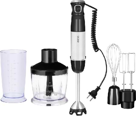 Фото - Блендер погружной ECG RM 800