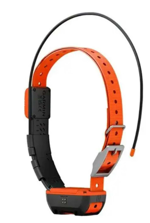 Нашийник GPS для собак Garmin Alpha T20 GPS collar (010-02447-01)