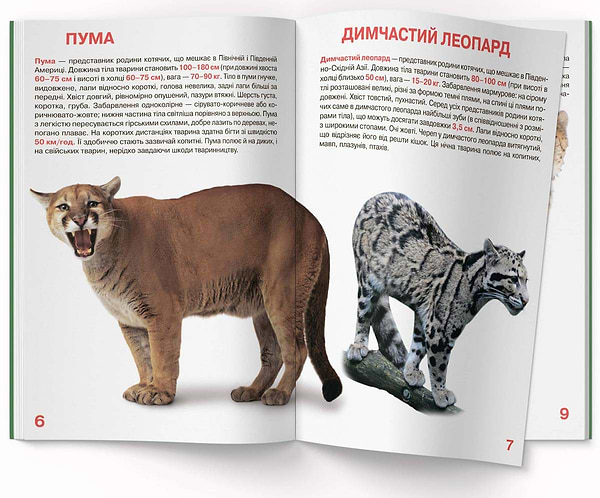 Фото -  Crystal Book Велика книжка. Дикі кішки (9786177268177)
