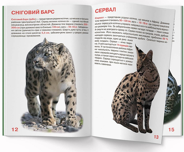 Фото -  Crystal Book Велика книжка. Дикі кішки (9786177268177)