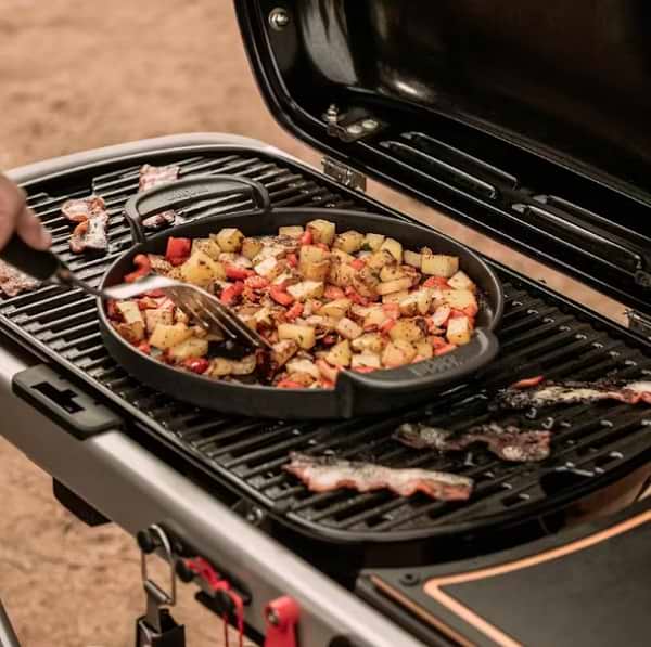 Фото - Гриль газовый Weber Traveler Black (9010075)