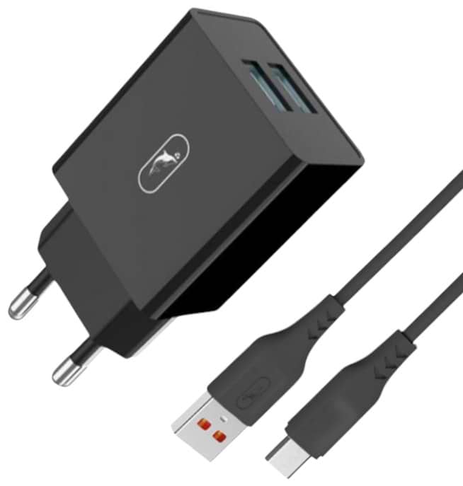 Сетевое зарядное устройство SkyDolphin SC30V 2USB, 2.1A Black (SDMZP-000172)+кабель microUSB