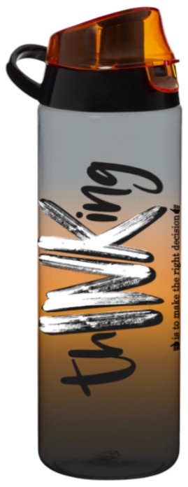 Фото - Бутылка для воды Herevin Thinking dark 0.75 л (161506-094)