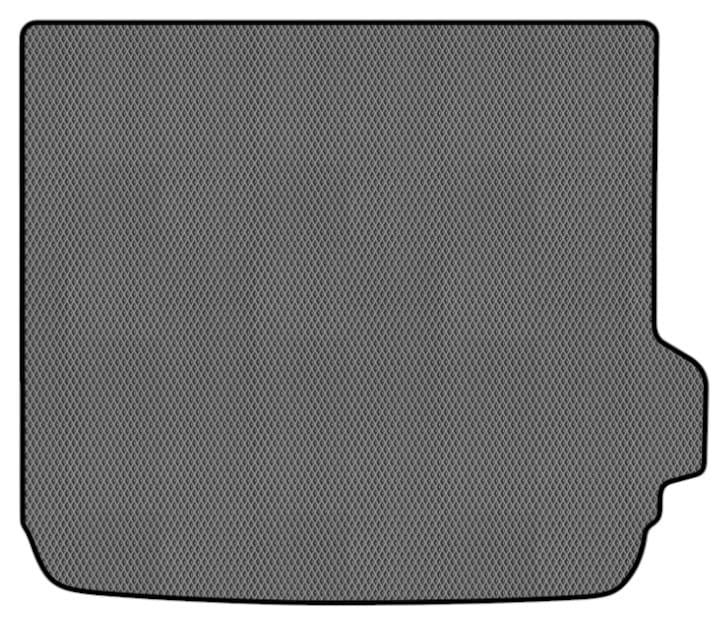 EVA килимок в багажник авто EVAtech для X4 (GO2) BMW 2018 2 покоління SUV EU (BM1421BH1RGB)