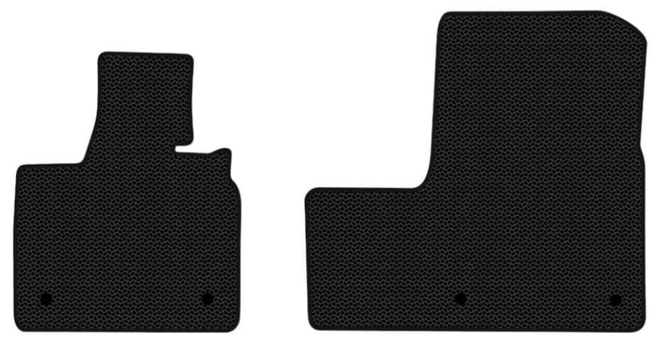 EVA килимки в салон авто передні EVAtech для I3 BMW 2013 1 покоління Htb EU (BM21194AB2BW4KBB)