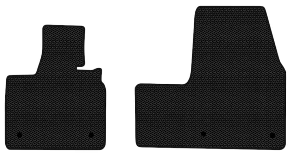 EVA килимки в салон авто передні EVAtech для I3 BMW 2013 1 покоління Htb EU (BM21194AG2BW4KBB)