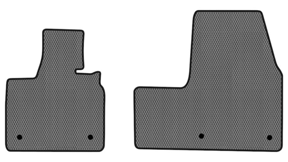 EVA килимки в салон авто передні EVAtech для I3 BMW 2013 1 покоління Htb EU (BM21194AG2BW4RGB)