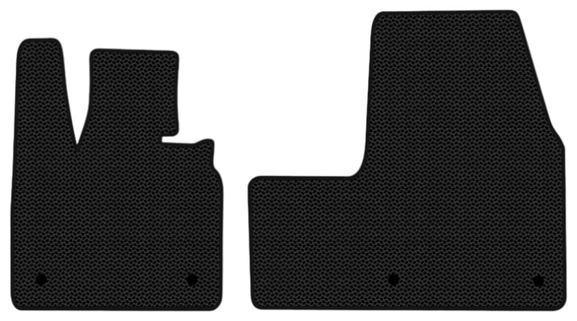 EVA килимки в салон авто передні EVAtech для I3 BMW 2013 1 покоління Htb EU (BM21194AV2BW4KBB)