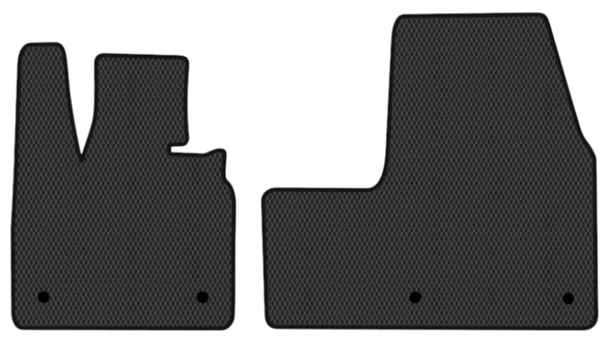 EVA килимки в салон авто передні EVAtech для I3 BMW 2013 1 покоління Htb EU (BM21194AV2BW4RBB)