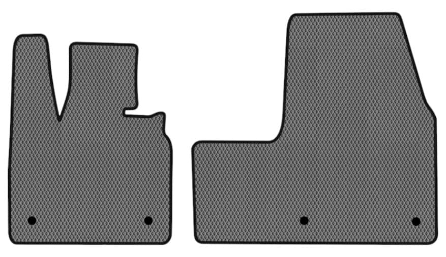 EVA килимки в салон авто передні EVAtech для I3 BMW 2013 1 покоління Htb EU (BM21194AV2BW4RGB)