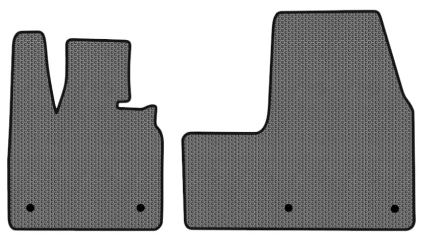 EVA килимки в салон авто передні EVAtech для I3 BMW 2013 1 покоління Htb EU (BM21194AV2BW4SGB)