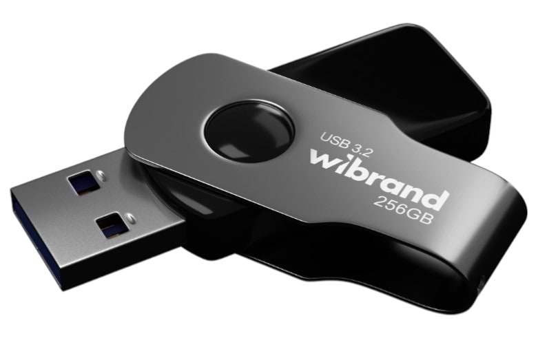 Флеш USB Wibrand USB 3.2 Gen1 Lizard 256GB Black (WI3.2/LI256P9B)