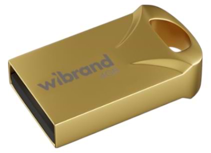 Флеш USB Wibrand USB 2.0 Hawk 4Gb Gold (WI2.0/HA4M1G) - Фото 1