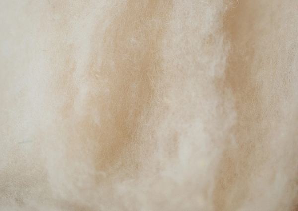 Фото - Наматрацник дитячий MirSon вовняний Стандарт Woollen Aloe Vera 240 80x160 (2200000370198)