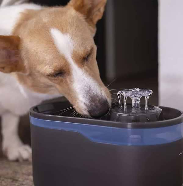 Фото - Смарт-поїлка для тварин EMOS Фонтанчик H6101 2.6 л