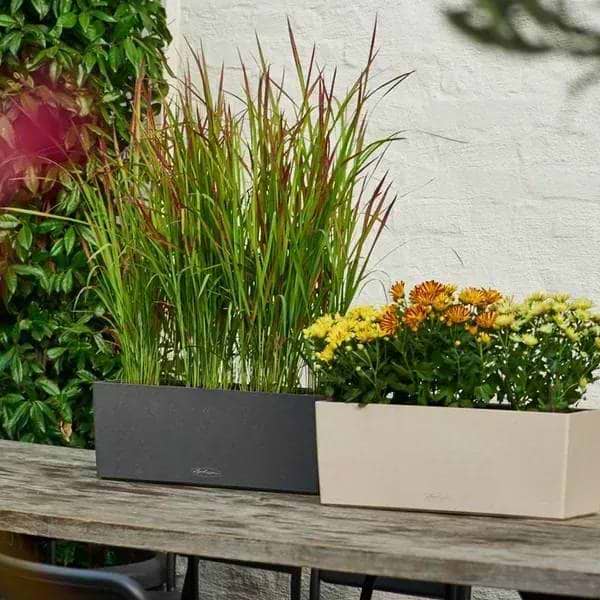 Фото - Вазон Lechuza BALCONERA Stone 50 кварцовий білий 15657