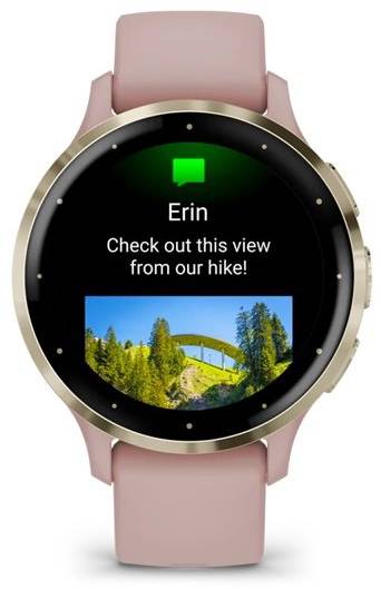 Фото - Смарт-часы Garmin Venu 3S Dust Rose+Soft Gold (010-02785-03)