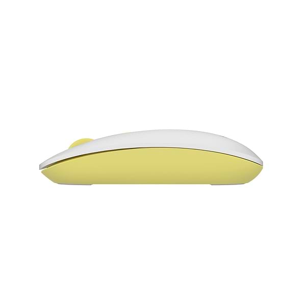 Фото - Миша бездротова A4tech FG20 Daisy USB