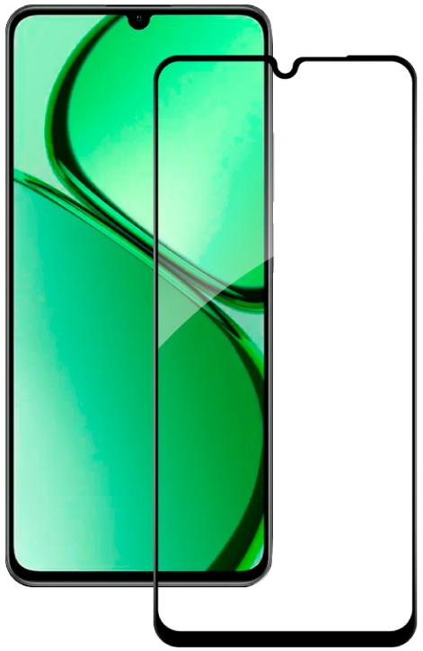 Защитное стекло для смартфона ACCLAB 9H for Realme C63 / C61 Black (1283126594946)