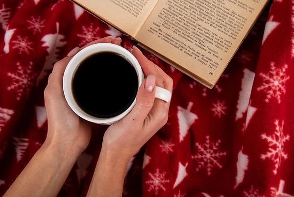 Фото - Плед односпальний Ardesto Fleece 130x160 см засніжені ялинки (ART0715PB)