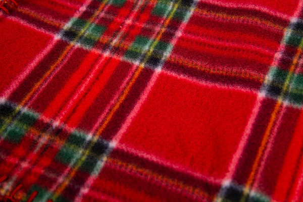 Фото - Плед односпальний Ardesto Fleece 130x160 см клітинка червоний (ART0717PB)