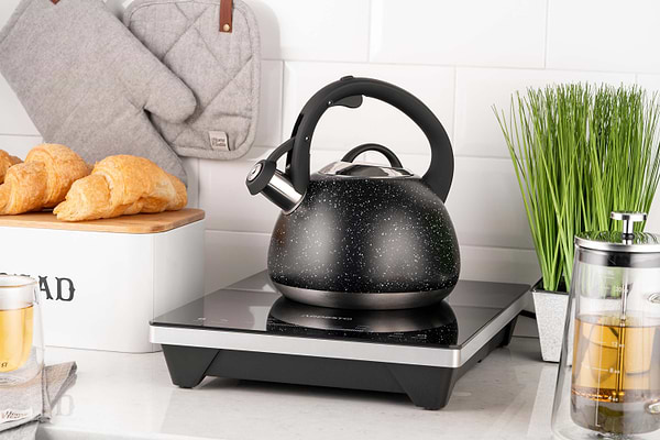 Фото - Чайник металлический Ardesto Gemini 2.5 л (AR1957KS)