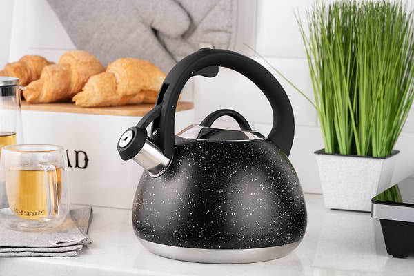 Фото - Чайник металлический Ardesto Gemini 2.5 л (AR1957KS)