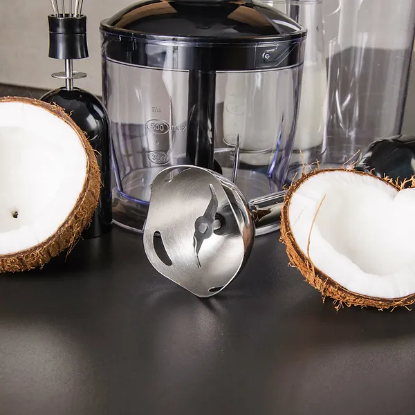 Фото - Блендер заглибний Dario DB0532_Black