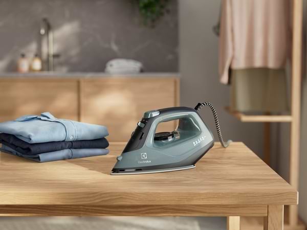 Фото - Праска Electrolux E5SI2-6OG
