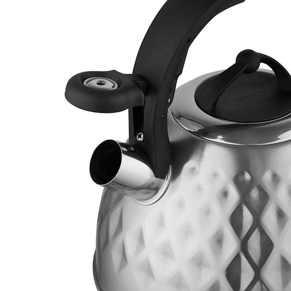 Фото - Чайник металевий FLORINA FENNY SATIN 2,5 л (5C0225)