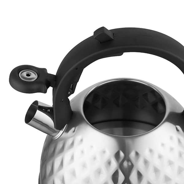 Фото - Чайник металевий FLORINA FENNY SATIN 2,5 л (5C0225)