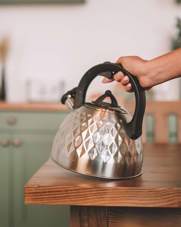 Фото - Чайник металевий FLORINA FENNY SATIN 2,5 л (5C0225)