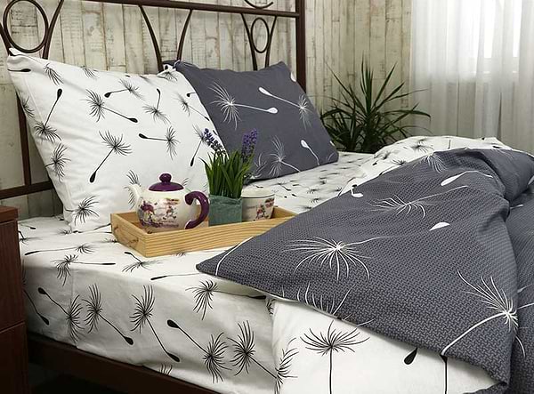 Фото - Комплект постільної білизни Руно Fly (6.114Б_Fly)