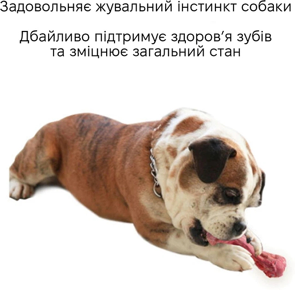 Фото - Игрушка для животных INSPIRE 15.5х6.7 см Bone Red (game-bone)