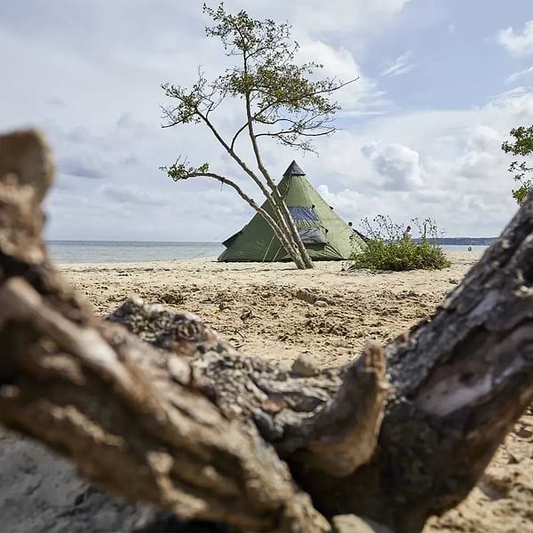 Фото - Палатка Grand Canyon Black Falls 8 Capulet Olive (330039)