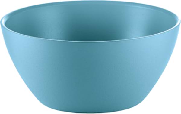 Фото - Миска Guzzini 100603157