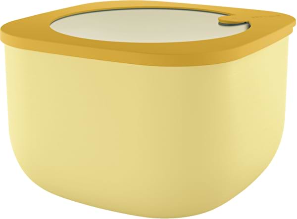 Фото - Емкость для хранения Guzzini 2800 мл (170705165) Фото - Емкость для хранения Guzzini 2800 мл (170705165)