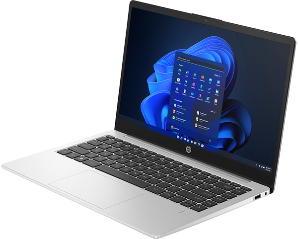 Фото - Ноутбук HP 245 G10 (A3DU5ES) Turbo Silver