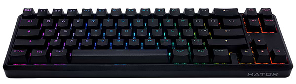Фото - Клавіатура бездротова ігрова Hator Skyfall HEX ENG Gateron Clear (HTK-665) Black