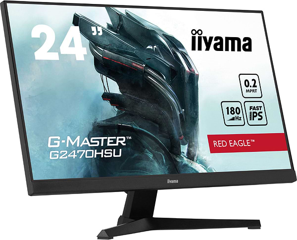 Фото - Монитор игровой IIYAMA G2470HSU-B6