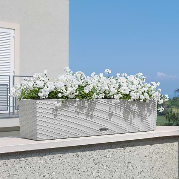 Фото - Вазон Lechuza BALCONERA Cottage 80 графітовий чорний 15619